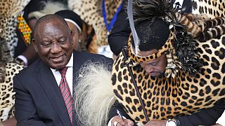 Afrique du Sud : couronnement officiel du roi des Zoulous