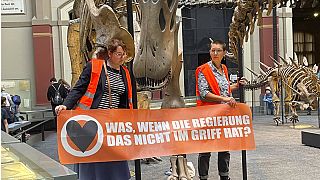 Protest der Mütter im Kampf gegen den Klimawandel im Naturkundemuseum in Berlin