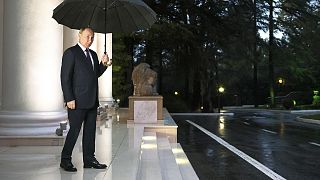 Russian President Vladimir Putin at the talks in the Bocharov Ruchei residence in the Black Sea resort of Sochi, 31 October 2022
