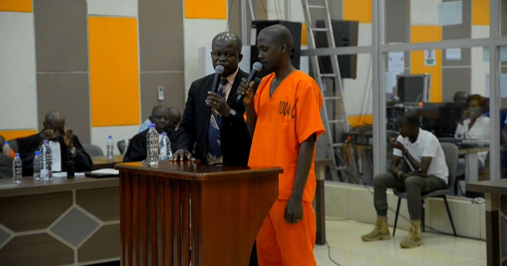 Central Africa: members of armed militia sentenced to prison