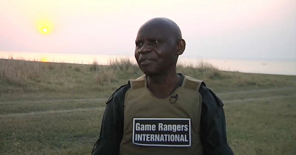 zambian-wildlife-ranger-receives-award-for-his-anti-poaching-work-or-africanews