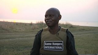 Zambian wildlife ranger receives award for his anti poaching work
