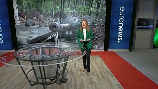Euronews-Journalistin Sasha Vakulina berichtet über den Stand der Militäroperation in der Ukraine