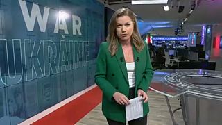 O. Vakulina Euronews