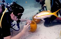 A diver gets creative on the seabed 