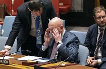 Russian Ambassador to the United Nations Vasily Nebenzya adjusts his glasses during a session at United Nations HQ, 31 October 2022