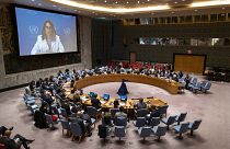 В Совбезе ООН косвенно отвергли обвинения Москвы в том, что зерновой коридор был использован для атаки на Севастополь