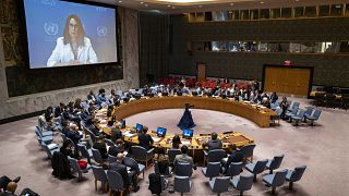 В Совбезе ООН косвенно отвергли обвинения Москвы в том, что зерновой коридор был использован для атаки на Севастополь