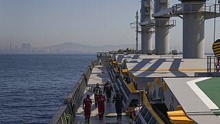 Der Getreidefrachter Med Island in türkischen Gewässern am vergangenen Samstag. Dort sind viele Frachter in Wartestellung