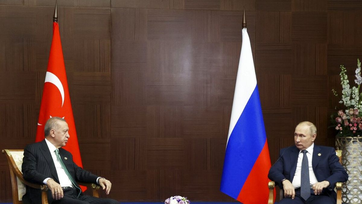 Cumhurbaşkanı Recep Tayyip Erdoğan, Rusya lideri Vladimir Putin 