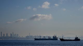  سفن شحن في بحر مرمرة تنتظر عبور مضيق البوسفور في اسطنبول، تركيا، الثلاثاء 1 نوفمبر 2022