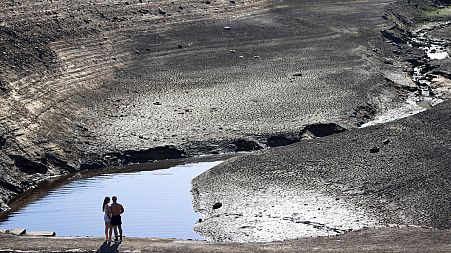 Much of Europe was hit by droughts this summer