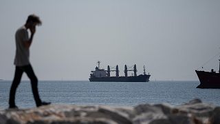 The Panama-flagged cargo ship Lady Zehma anchors in the Marmara Sea in Istanbul, Turkey, on Sept. 2, 2022