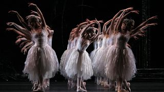 Ballerinas perform during a dress rehearsal for Anthony Dowell's production of the ballet 'Swan Lake' at the Royal Opera House in London in 2008.