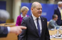 Решения правительства Германии вызвали критику в других странах Европы