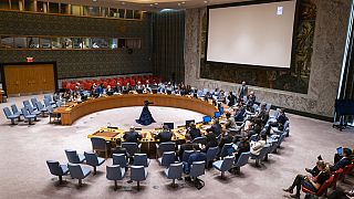 Birleşmiş Milletler Güvenlik Konseyi