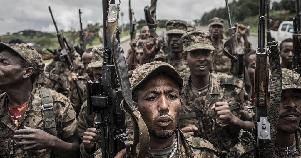 Ethiopia marks two-year war anniversary the morning after peace deal - Vimarsana News
