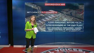 Sasha Vakulina presentando un gráfico sobre la central nuclear de Zaporiyia