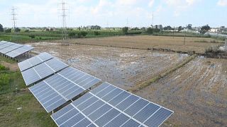 Egypt turns to solar power to reduce farming costs and emissions