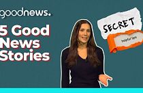 5 good news stories
