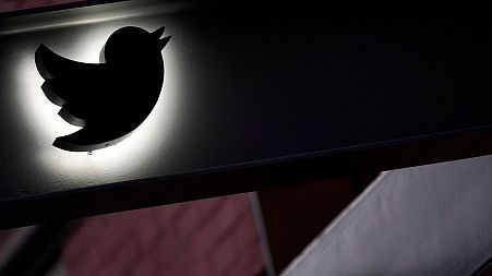 Twitter's new owner and CEO Elon Musk is expected to fire around half of the company's workforce.