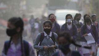 Delhi school girls walk towards a school after a spike in air pollution closed them for 15 days in November 2021.