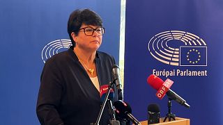 Sabine Verheyen, a szakbizottság elnöke a budapesti sajtótájékoztatón