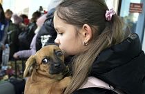 A girl, an evacuee from Kherson, holds her dog as she arrives at the railway station in Dzhankoi, Crimea, on Wednesday, Nov. 2, 2022