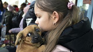 A girl, an evacuee from Kherson, holds her dog as she arrives at the railway station in Dzhankoi, Crimea, on Wednesday, Nov. 2, 2022