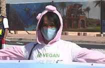 A small group of vegan activists protest on the first day of COP27 in Egypt. 