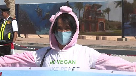 A small group of vegan activists protest on the first day of COP27 in Egypt.