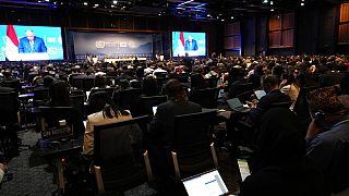 COP27 climate conference in Sharm El-Sheikh, Egypt