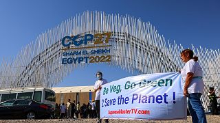 Égypte : des dizaines de militants arrêtés en marge de la COP27