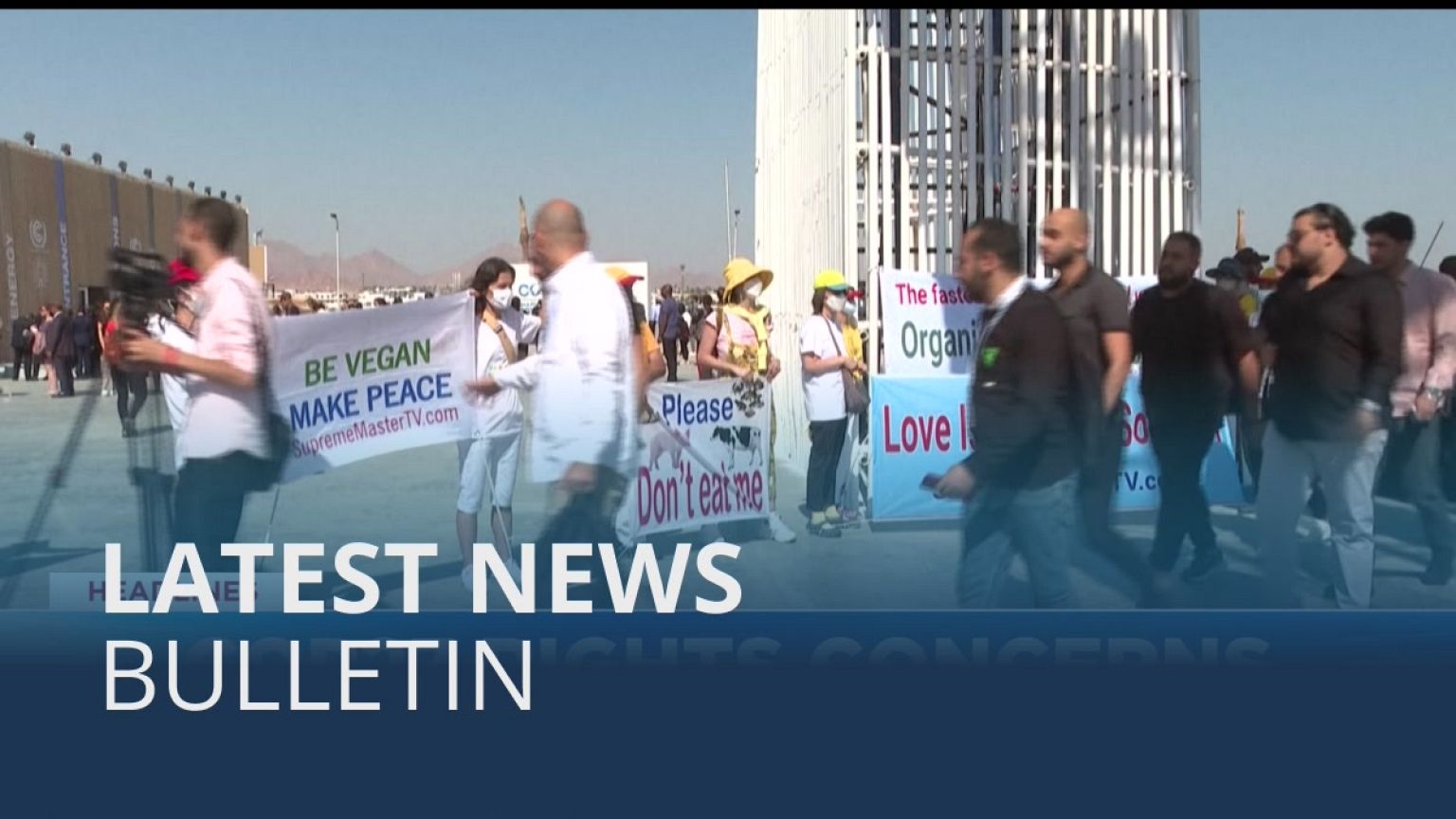 Latest news bulletin | November 7th – Midday