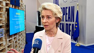 Ursula von der Leyen spoke to Euronews at COP27 in Sharm El-Sheikh, Egypt.