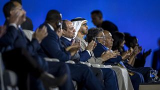 COP 27 in Egypt : multiple parties call for action in favor of developing countries
