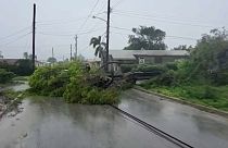 Un árbol caído en medio de la carretera tras una fuerte tormenta en Barbados