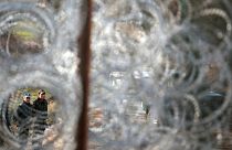 Border policemen stand guard at the Bulgarian-Turkish border near the village of Golyam Dervent in 2013