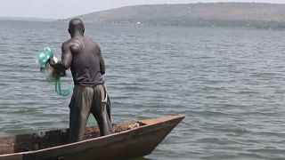 Ouganda : les ressources halieutiques du Nil en péril