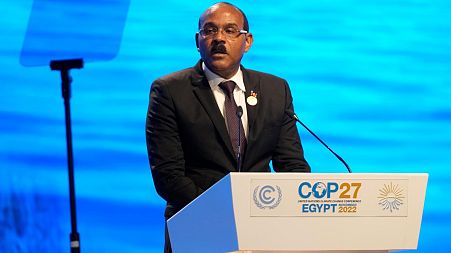 Gaston Browne, prime minister of Antigua and Barbuda, speaks at COP27.