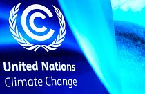 COP27
