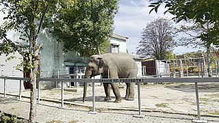 Николаевский зоопарк.