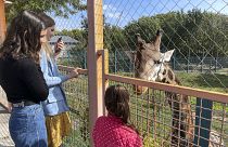 The views of Mykolaiv zoo, not far from the frontline, south Ukraine