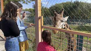 The views of Mykolaiv zoo, not far from the frontline, south Ukraine