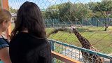 Lo zoo di Mykolaiv