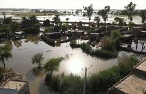 The flood-ravaged Sindh province, southern Pakistan 
