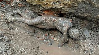 مجسمه کشف شده در محوطه حفاری‌ باستان‌شناسی در حوضچه‌های آب‌گرم  باستانی  در«سان کاسیانو دی باگنی» نزدیک شهر سی‌ینا 