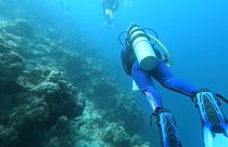 Discover the hidden depths of the Red Sea