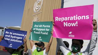 Protestors on the fourth day of COP27