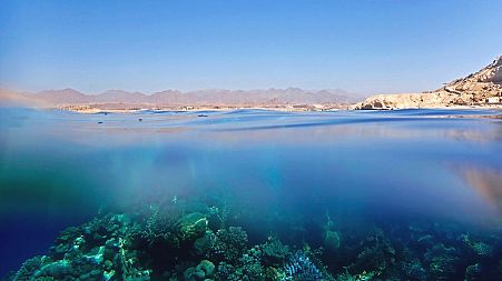 The Global Fund for Coral Reefs is boosting the resilience of Egypt's precious reefs.